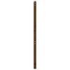 vidaXL T&ecirc;te de lit Marron miel 106x4x100 cm Bois massif de pin