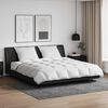 vidaXL Ensemble de Duvet avec oreiller 3 pcs Blanc Plume de canard
