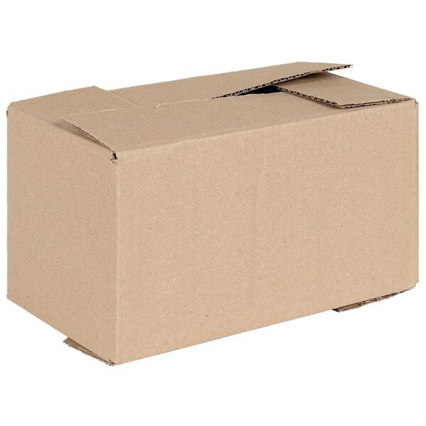vidaXL Bo&icirc;te Pliable 50 pcs Naturel 24 x 13 x 13 cm Carton
