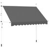 vidaXL Auvent manuel r&eacute;tractable 300 cm Anthracite
