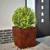 vidaXL Jardini&egrave;re 50x50x50 cm acier r&eacute;sistant aux intemp&eacute;ries