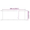vidaXL Auvent vertical Vert clair 60x600 cm Tissu oxford