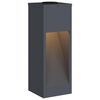 vidaXL Lumi&egrave;re de Chemin LED Solaire 2 pcs Anthracite