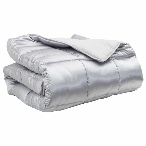 vidaXL Duvet d'hiver Argent&eacute; 220 x 260 cm Satin et Microfibre