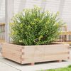 vidaXL Jardini&egrave;re 80x80x26,5 cm bois de pin massif