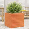vidaXL Jardini&egrave;re cire marron 50x50x46 cm bois de pin massif