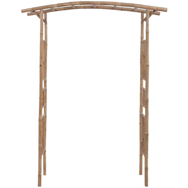 vidaXL Arche pour rosiers Bambou 145 x 40 x 187 cm