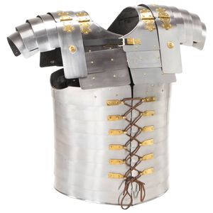 vidaXL Armure corporelle de soldat romain GN Argent&eacute; Acier
