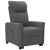 vidaXL Fauteuil Gris fonc&eacute; Tissu