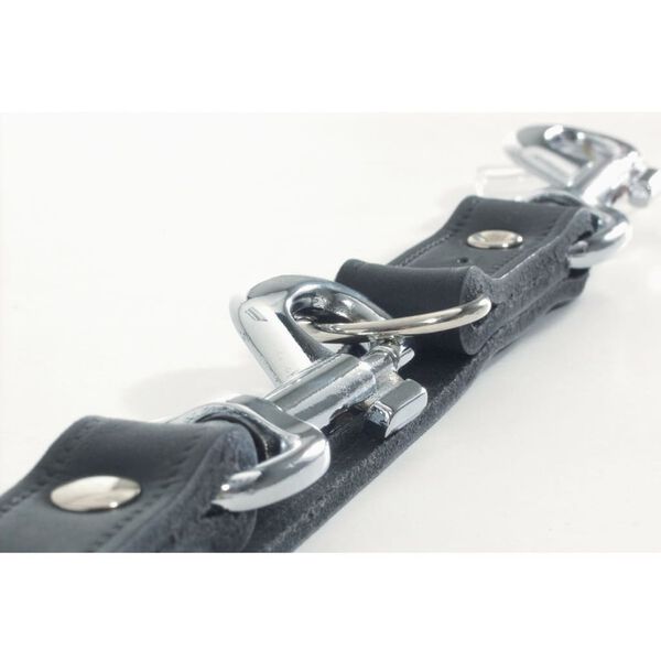 Beeztees Laisse de dressage Cuir Noir 200x1,2 cm 736391