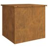 vidaXL Bo&icirc;te de Rangement Ext&eacute;rieure Rouill&eacute; 55 x 50,5 x 50 cm Acier