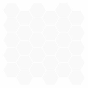 vidaXL Carreau hexagonal 10 pcs Blanc 30 x 30 cm Polyur&eacute;thane et PET