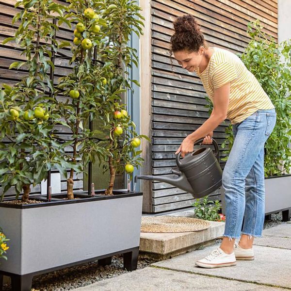 LECHUZA Jardini&egrave;re TRIO Stone 30 ALL-IN-ONE Gris pierre