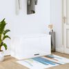 vidaXL Armoire &agrave; chaussures murale Blanc brillant 70x35x38 cm