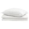 vidaXL Duvet d'&eacute;t&eacute; simple avec oreiller 2 pc Blanc Plume de canard