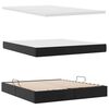vidaXL Lit avec rangement et LED Noir 160 x 200 cm Simili cuir