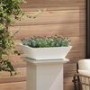 vidaXL Cache-pot de jardin 5 pcs Blanc 50 x 50 x 15 cm