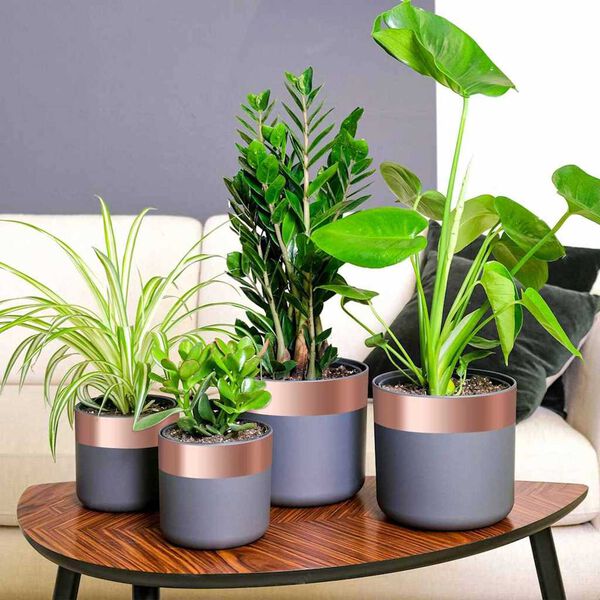 vidaXL Ruban en Cuivre 6 pcs Cuivre 2000 x 7 cm Cuivre
