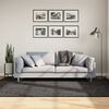 vidaXL Tapis ISTAN &agrave; poils longs aspect brillant anthracite 160x230 cm