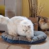 Ferplast Coussin pour chien et chat Stuart 89/10 bleu