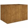 vidaXL Lit sur&eacute;lev&eacute; de jardin 120x80x80 cm acier corten