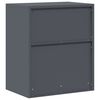 vidaXL Armoire de rangement Anthracite 60 x 40 x 70 cm Acier