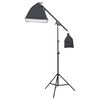 vidaXL Kit de studio photo avec &eacute;clairage toile de fond et r&eacute;flecteur