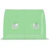 vidaXL Serre 6 m&sup2; 3x2x2 m