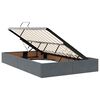 vidaXL Lit avec rangement et LED Gris fonc&eacute; 120 x 190 cm Velours