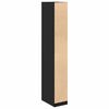 vidaXL Armoire Bois ancien 30 x 50 x 200 cm Bois d'ing&eacute;nierie