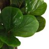 vidaXL Ficus lyrata artificiel 180 feuilles 150 cm vert