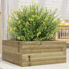 vidaXL Jardini&egrave;re 50x50x23 cm bois de pin impr&eacute;gn&eacute;