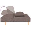 vidaXL Canap&eacute;-lit &agrave; 2 places avec deux oreillers taupe tissu