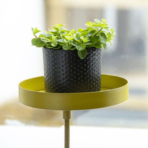 Esschert Design Plateau pour plantes avec pince Rond Dor&eacute; S