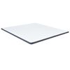 vidaXL Surmatelas de sommier tapissier 200x160x5 cm mi-doux