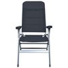 vidaXL Chaises de jardin inclinables lot de 2 Aluminium Noir