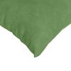 vidaXL Coussins de canap&eacute; 2 pcs Vert clair 80 x 40 cm