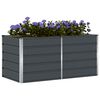 vidaXL Jardini&egrave;re Anthracite 160 x 80 x 75 cm Acier