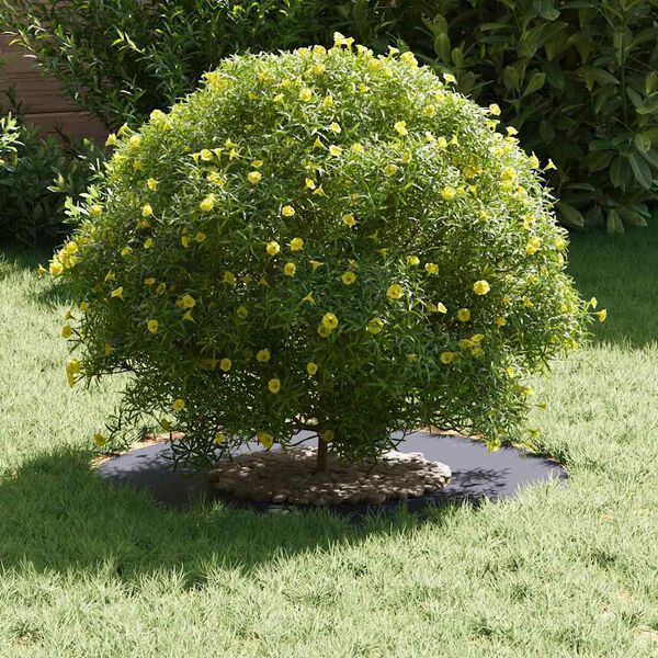 vidaXL adapt&eacute; pour anneau d'arbre plat Anthracite &Oslash;30 / 60 cm Acier