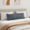 vidaXL Coussins de canap&eacute; 2 pcs Gris fonc&eacute; 120 x 40 cm