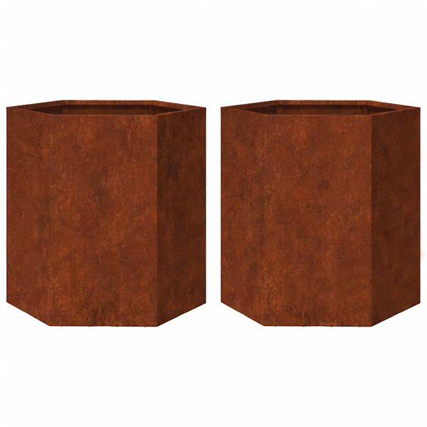 vidaXL Jardini&egrave;res 2 pcs hexagone 46x40x45 cm acier patinable