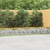vidaXL Lit sur&eacute;lev&eacute; &agrave; gabions arqu&eacute; 600x100x50 cm Fer galvanis&eacute;