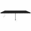 vidaXL Auvent manuel r&eacute;tractable sur pied 600x300 cm Anthracite