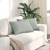 vidaXL Coussins de canap&eacute; 2 pcs Gris clair 60 x 40 cm