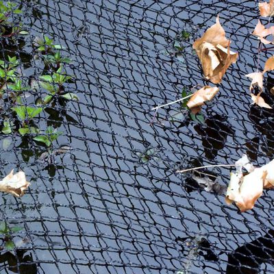 Velda Filet de couverture 6x5 m pour étangs