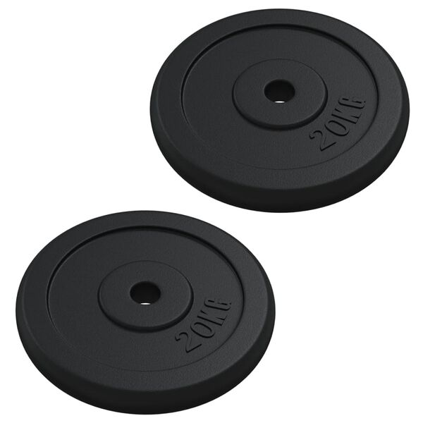vidaXL Plaque de poids 40 kg Fonte