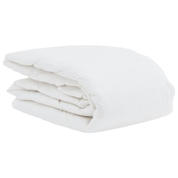 vidaXL Duvet d'&eacute;t&eacute; simple avec oreiller 2 pcs Blanc Plume de canard