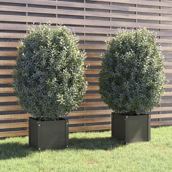vidaXL Jardini&egrave;res d'ext&eacute;rieur 2 pcs Gris 40x40x40 cm Bois de pin