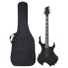 vidaXL Guitare &eacute;lectrique pour d&eacute;butants avec sac noir 4/4 39"
