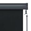 vidaXL Store roulant d'ext&eacute;rieur 160x250 cm Anthracite